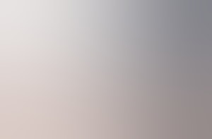 Asset 2 100